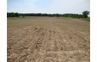 Property photo 8 - 120 Acres Offered in 9 Tracts - Real Estate & Personal Property Auctions